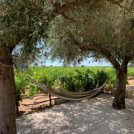 Casa Tra I Vigneti, 2 Km Dal Mare Tatil Evi