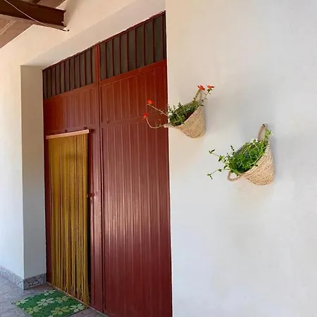 Tatil Evi Casa Tra I Vigneti, 2 Km Dal Mare *